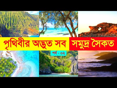 ভিডিও: শার্ক বে, ওয়েস্টার্ন অস্ট্রেলিয়া: ওয়ার্ল্ড হেরিটেজ সাইট