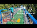 My first vlog  shillongs moopun falls  sahksaw fish sanctuary