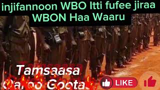 Oduu Injifannoo Wbon Irbbuu Shinigaa Sababeefatee Tarkaanfiii Fudhachaa Jiruu Itti Milkaaaa Jira