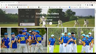 Website Projects - Cricket match website | Amazing Cricket-Match-Website | FullStack development