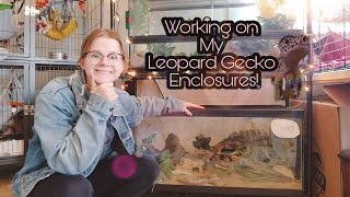 REDOING MY LEOPARD GECKO ENCLOSURES | VLOG | by K.B's World of Pets 1,836 views 3 years ago 17 minutes