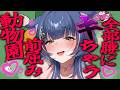 【My voice zoo】前屈みになっちゃう動物園へようこそ【 音猫とお / Vtuber 】