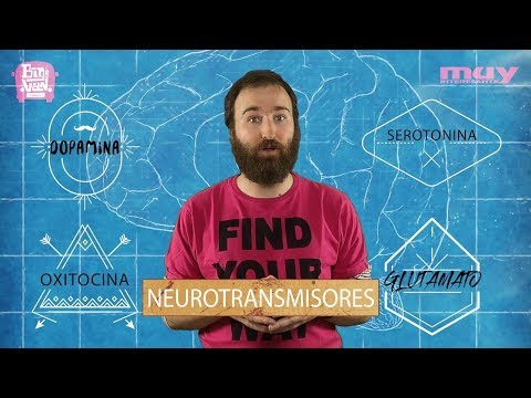 Los neurotransmisores |