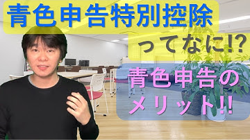 青色申告特別控除とは！？【個人事業主の所得税の確定申告】