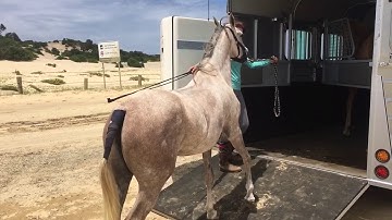 Silverbow Taliah float loading 070117