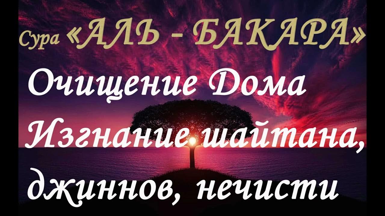 Очищения от шайтана