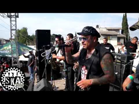 Royal Club - Ste ska (Vivo)