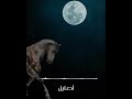 ميحد حمد قدر قدر حصريا 2021 ميحد حمد قدر قدر حصريا 2021