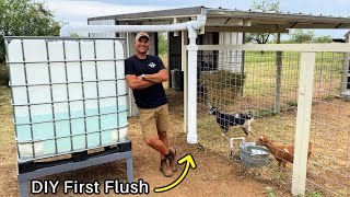 Rainwater Harvesting For the Goats - With DIY First Flush