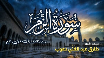 تلاوة مرتبة لسورة الزمر كاملة بصوت القارئ طارق دعوب - Surah Az-Zumar Tariq Daawob