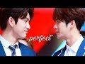 jinson; perfect