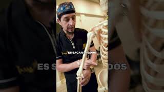 Cintura De Avispa Costillas Flotantes