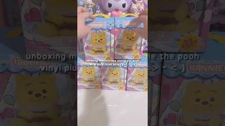 Unboxing New Winnie The Pooh Vinyl Plush Blind Boxes From