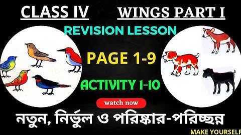 Class 4 Wings | Wings Class 4 | Class 4 Wings Part 1, Revision Lesson, Class4 English @Make Yourself