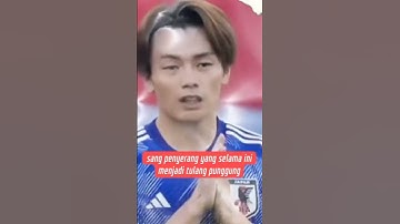 Japanse nationale teamspelers besluiten zich bij het Indonesische nationale team aan te sluiten #vo