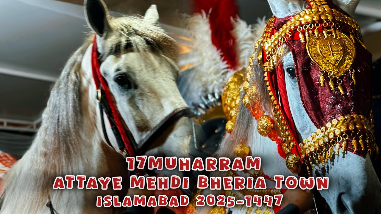 17 Muharram | Zuljanah Attaye Mehdi Baramdgi | Behria Town Islamabad 2025-1447 #zuljanah