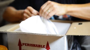 Golden Child Citron Reticulated Python Unboxing and a Blood Python too!