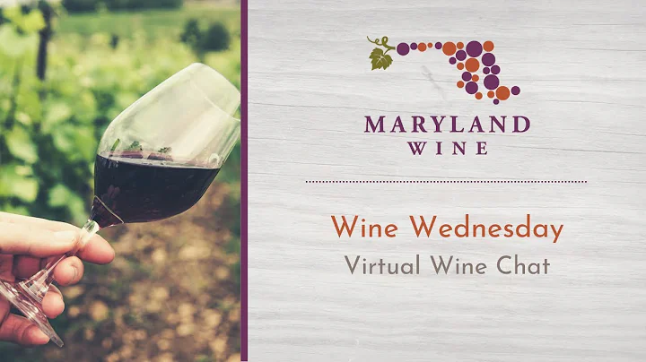 Wine Wednesday Virtual Wine Chat, feat. Rachel Lip...