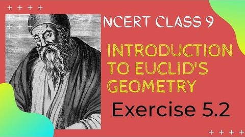 Introduction to Euclid