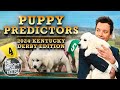 Puppies Predict the Winner of the 2024 Kentucky Derby  The Tonight Show Starring Jimmy Fallon