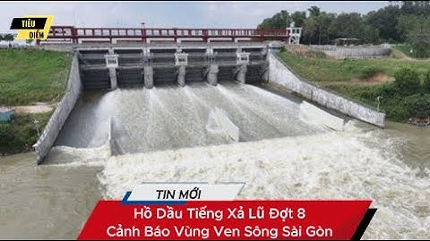 Hồ Dầu Tiếng Xả Lũ Đợt 8: Cảnh Báo Vùng Ven Sông Sài Gòn