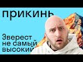 ТЕБЯ УЧАТ НЕПРАВИЛЬНО: 5 мифов, в которые мы верим со школы