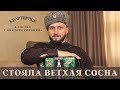 Виктор Сорокин | Стояла ветхая сосна