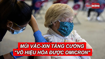 Pfizer: Mũi vắc-xin tăng cường "vô hiệu hóa được Omicron" | Báo Người Lao Động