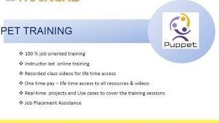 Puppet Online Training   Bestonlinetrainers com