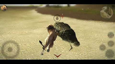 Lion Simulator 2 (2022) Mobile Gameplay