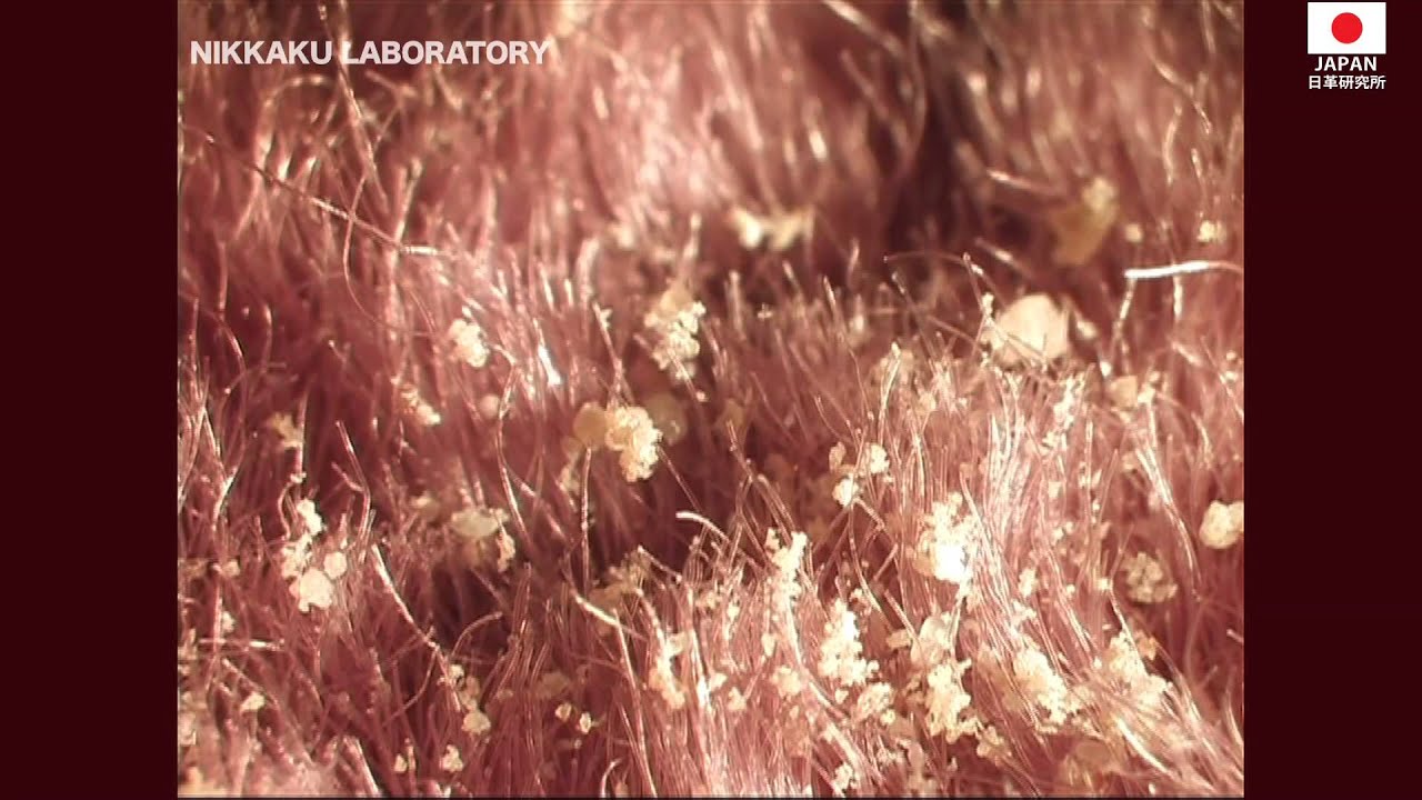 Creating Clean Environment in Your Home for Baby & Kids