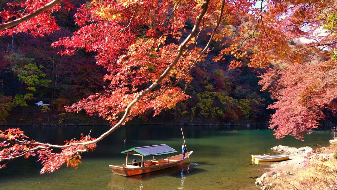 19年11月29日 金 京都嵐山の紅葉 ａutumn In Arashiyama Kyoto 岚山 4k Youtube