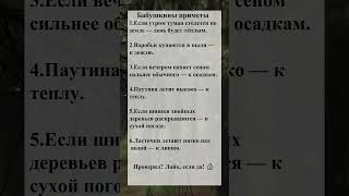 Бабушкины приметы #54 #Приметы #Суеверия #Советы #Поверья #shorts