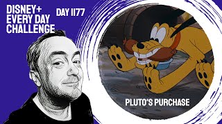 Download Lagu Pluto's Purchase (1948 short) - day 1177 - Disney+ Every Day Challenge MP3