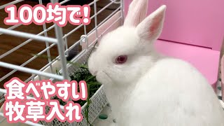 100均ダイソー購入品 牧草入れを変えてみたらたくさん食べてくれました 10じかんめ Youtube