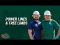 Power Lines & Tree Limbs | Tree Trimming Service Dallas Fort Worth Area