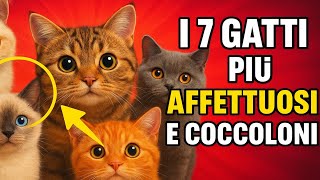 I 7 Gatti Più Affettuosi e Coccoloni 😻 | Trova il Compagno Ideale per Famiglie e Bambini