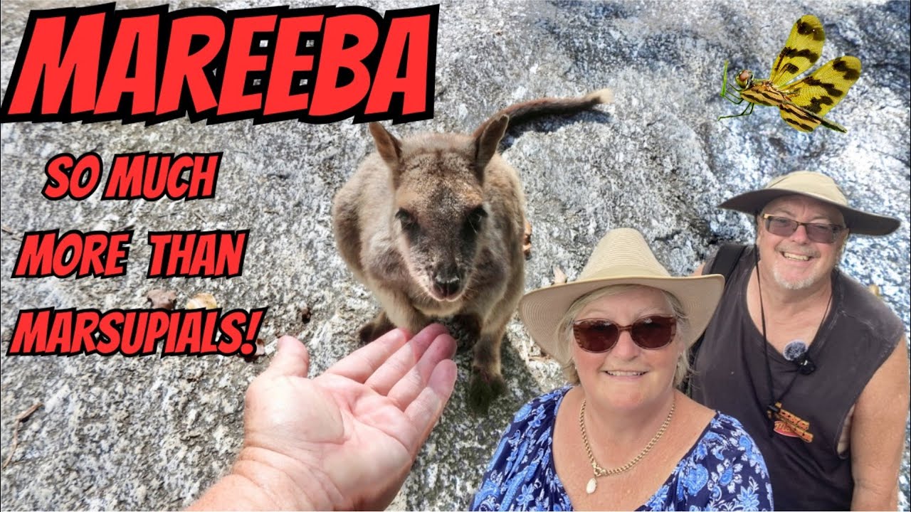 A Week in Mareeba
