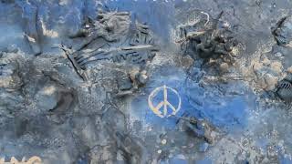 Ukraine: Release peace activist Yurii Sheliazhenko and drop all charges against him