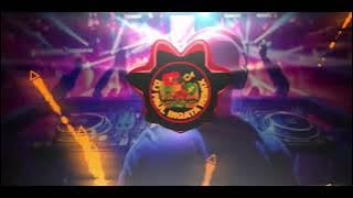 BEEZ IN THE TRAP X GOODIES DJ PAUL BIGATA REMIX MASHUPS TIKTOK REMIX 