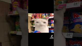 You want some chips cat meme