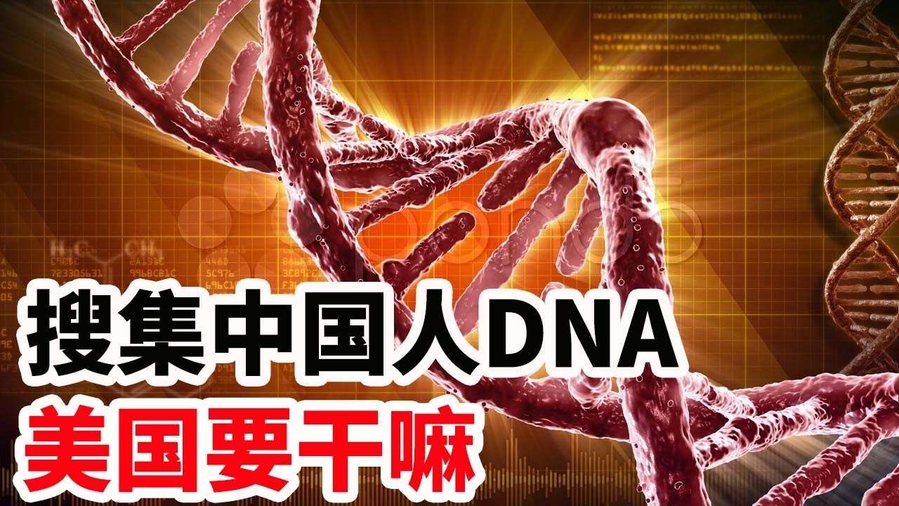 搜集中国人DNA,美国要干嘛! - YouTube