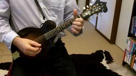 Mandolin with Gerry Hale - Introduction