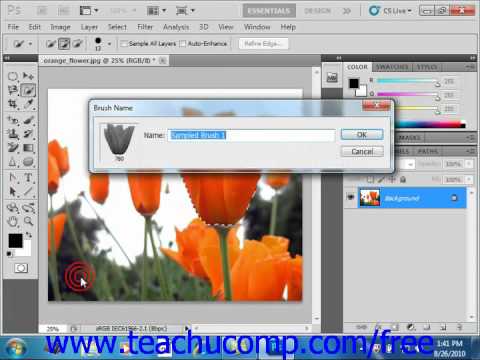 Photoshop CS5 Tutorial Creating Custom Brush Tips by Selection Adobe Training Lesson 6.2