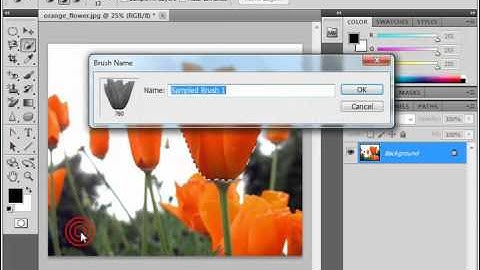 Photoshop CS5 Tutorial Creating Custom Brush Tips by Selection Adobe Training Lesson 6.2