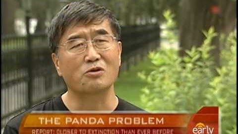 Giant Pandas on the Brink