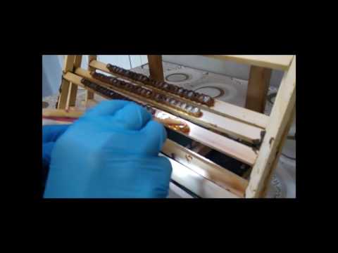 ფუტკრის რძე ფეფე