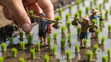 Tiny Buffalo & Clay Farmers Working in Mini Muddy Rice Fields — Satisfying POV