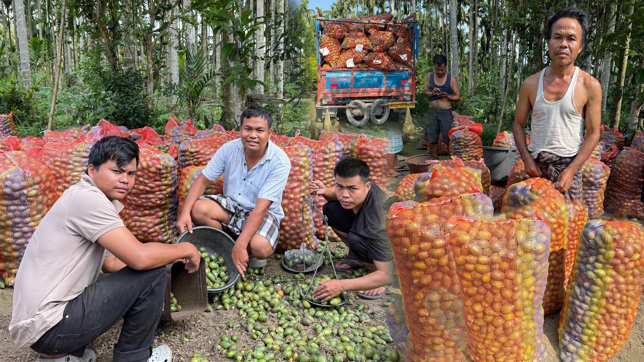 Father sold his Supari and Earn 1 lakh rupees