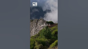 📖 بداية سورة الكهف بصوت ملائكي | فارس عباد | تلاوة تخشع لها القلوب 🎧